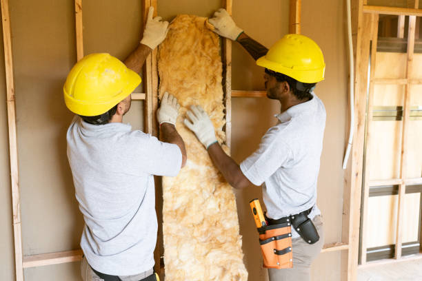 Professional Insulation in Ocilla, GA